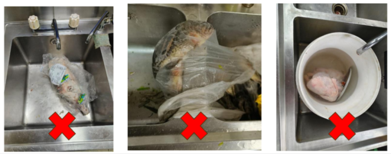 Development-Chat-07-31-2025_11_18_AM