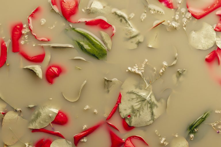 top-view-red-petals-brown-colored-water